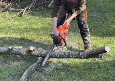 j&h tree and landscaping services facebook gallery 14