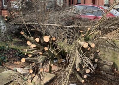 j&h tree and landscaping services facebook gallery 15