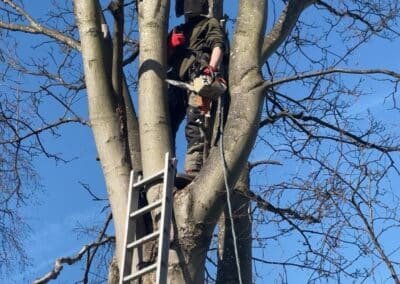 j&h tree and landscaping services facebook gallery 16