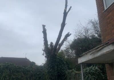 j&h tree and landscaping services facebook gallery 19