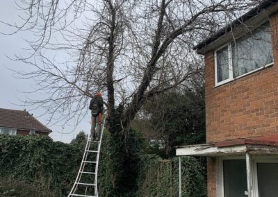 j&h tree and landscaping services facebook gallery 20