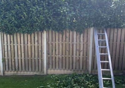 j&h tree and landscaping services facebook gallery 29